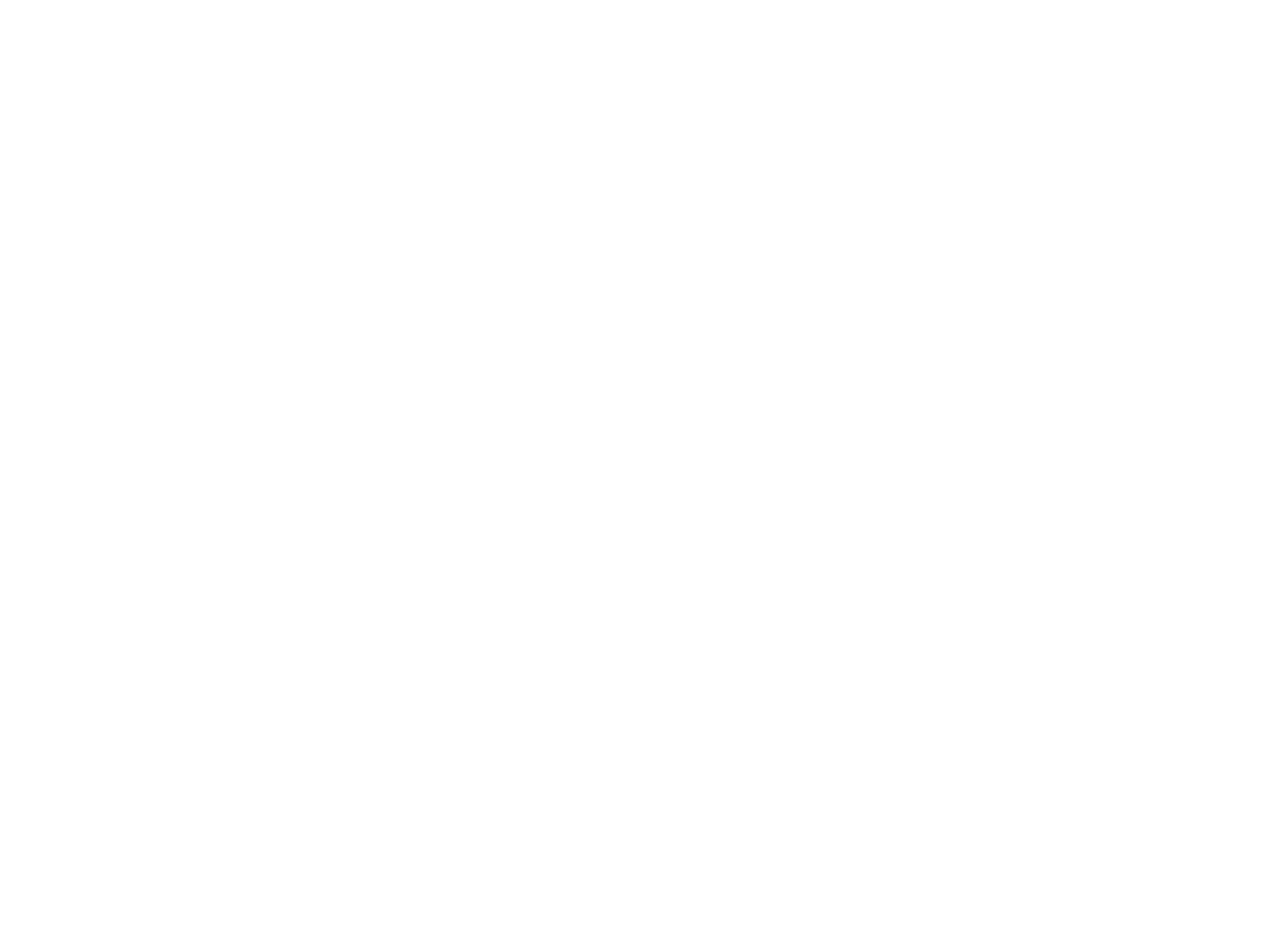 South coast street food logo white